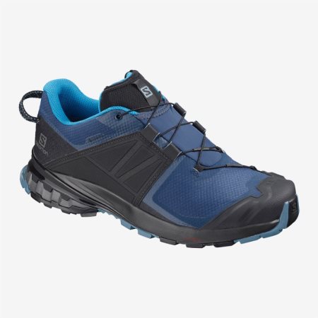 Salomon XA WILD GTX Erkek Yürüyüş Ayakkabısı Mavi/Siyah TR D8A3